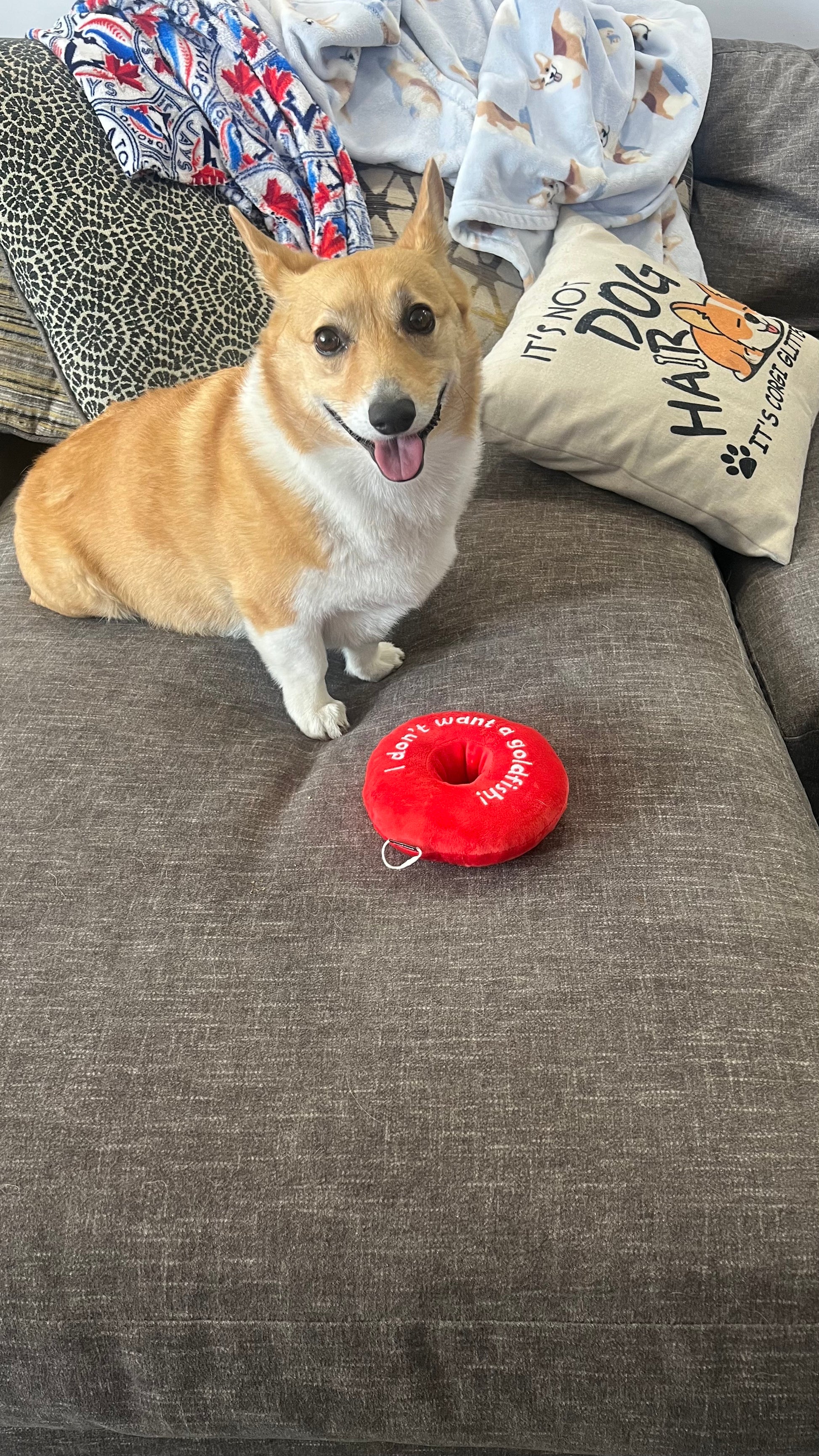 The Donut - Phish dog toy for Phan's best friend – Dog Faced Toys