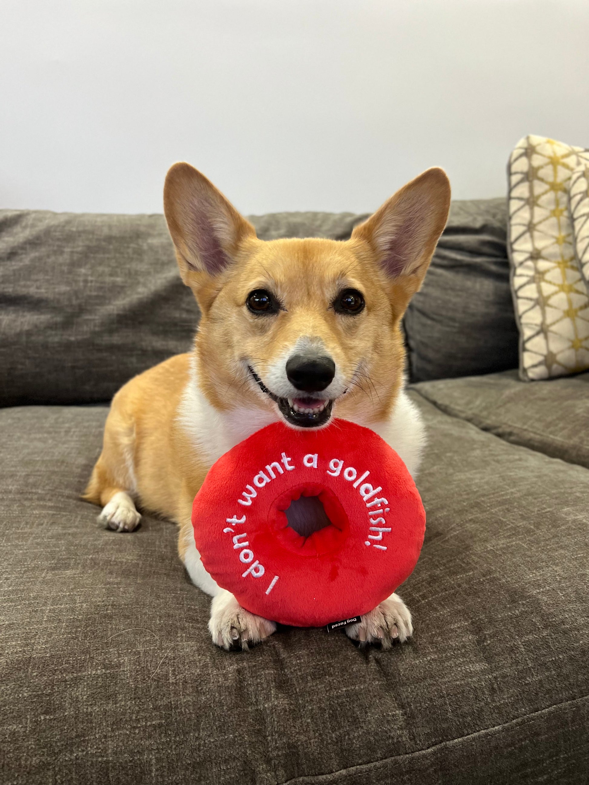 The Donut - Phish dog toy for Phan's best friend – Dog Faced Toys